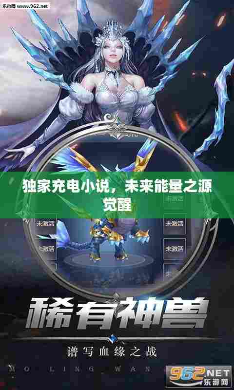 独家充电小说，未来能量之源觉醒