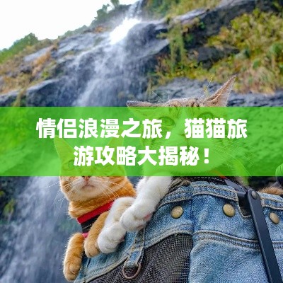 情侣浪漫之旅，猫猫旅游攻略大揭秘！