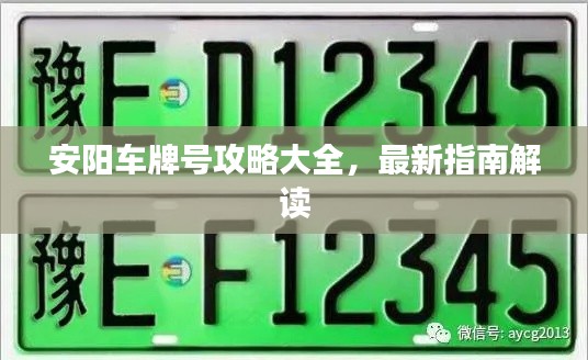 安阳车牌号攻略大全，最新指南解读