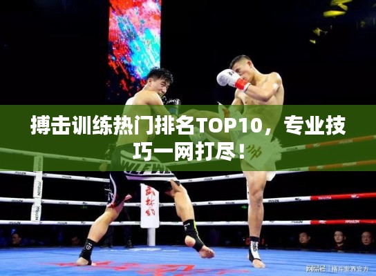 搏击训练热门排名TOP10,专业技巧一网打尽!
