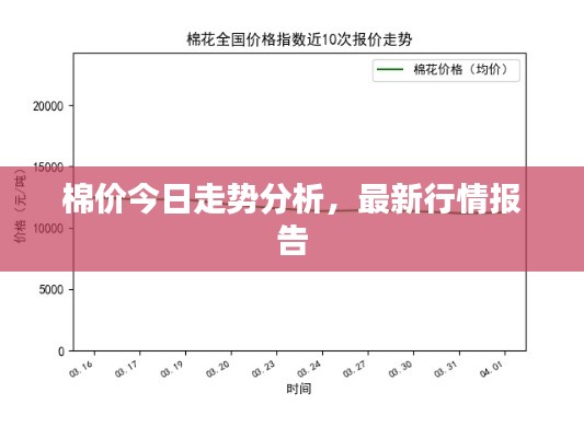 棉价今日走势分析，最新行情报告