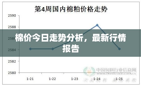 棉价今日走势分析,最新行情报告