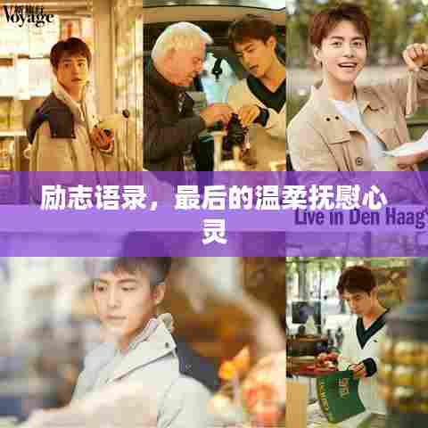 惨淡经营 第6页