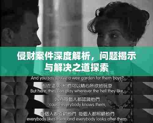 侵财案件深度解析,问题揭示与解决之道探索