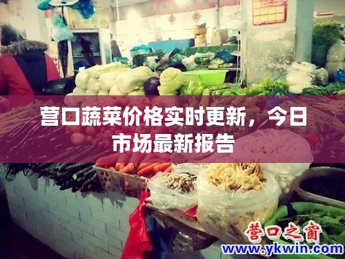 营口蔬菜价格实时更新，今日市场最新报告
