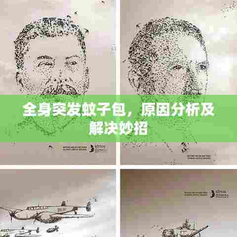 全身突发蚊子包，原因分析及解决妙招