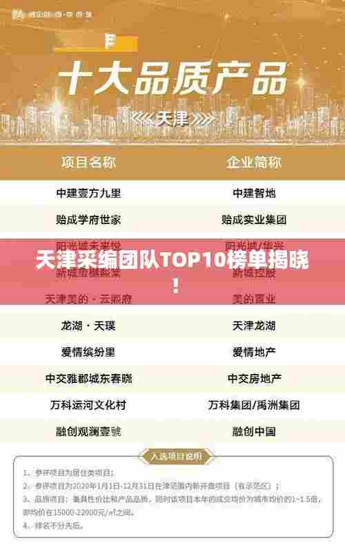 天津采编团队TOP10榜单揭晓！