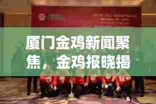 厦门金鸡新闻聚焦,金鸡报晓揭示发展新动向