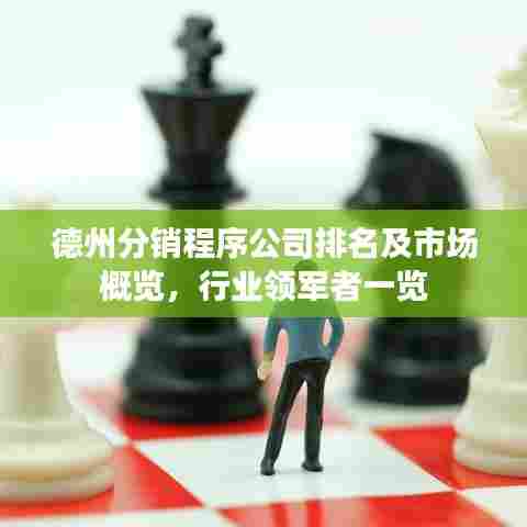 德州分销程序公司排名及市场概览,行业领军者一览
