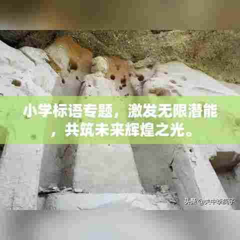小学标语专题,激发无限潜能,共筑未来辉煌之光。