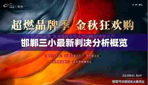 邯郸三小最新判决分析概览