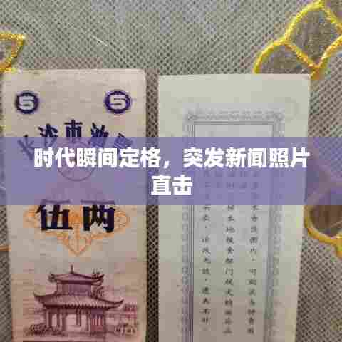 时代瞬间定格，突发新闻照片直击