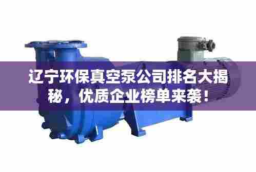 辽宁环保真空泵公司排名大揭秘，优质企业榜单来袭！