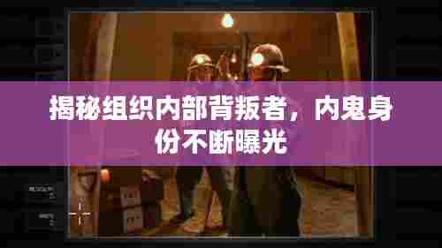 揭秘组织内部背叛者，内鬼身份不断曝光