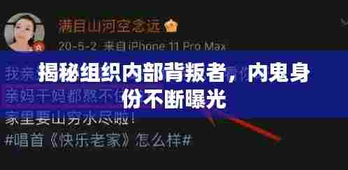 揭秘组织内部背叛者,内鬼身份不断曝光