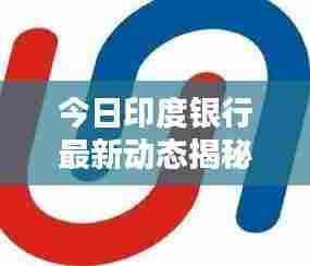 今日印度银行最新动态揭秘