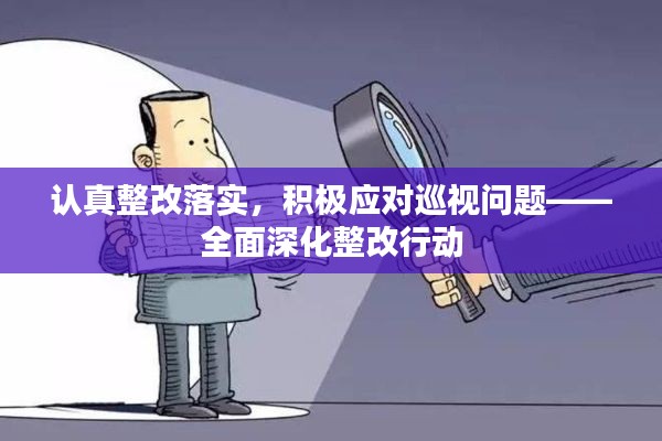 认真整改落实,积极应对巡视问题——全面深化整改行动