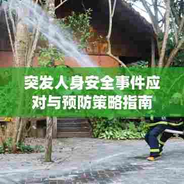 突发人身安全事件应对与预防策略指南