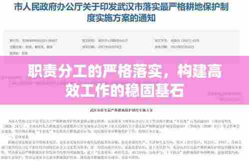 职责分工的严格落实，构建高效工作的稳固基石