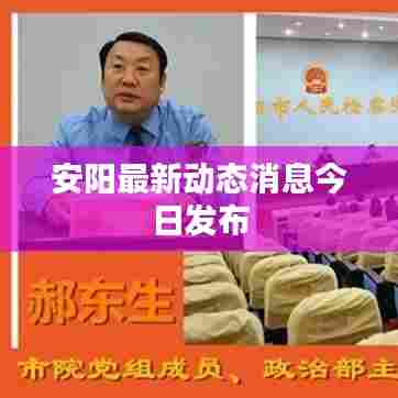 安阳最新动态消息今日发布