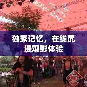 独家记忆，在线沉浸观影体验