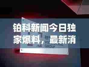 铂科新闻今日独家爆料，最新消息一网打尽！