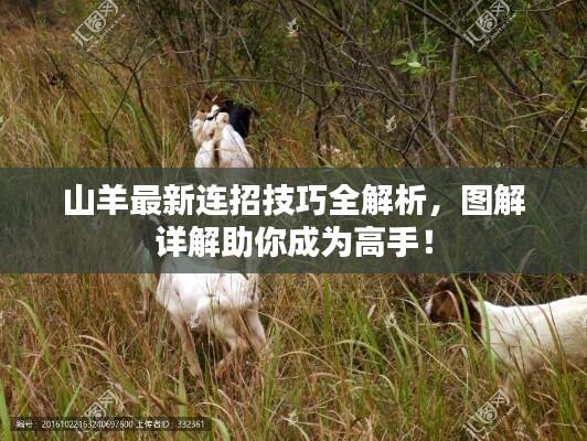山羊最新连招技巧全解析,图解详解助你成为高手!