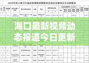 海口最新视频动态报道今日更新消息