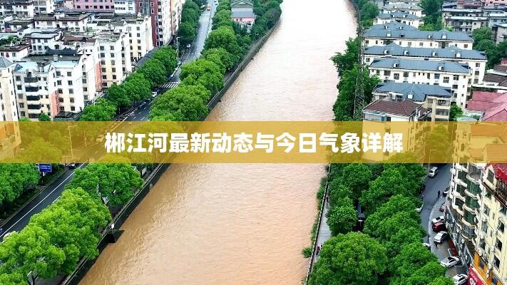 郴江河最新动态与今日气象详解