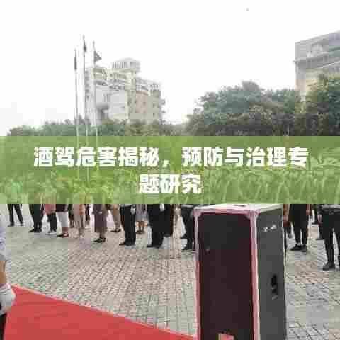 酒驾危害揭秘,预防与治理专题研究