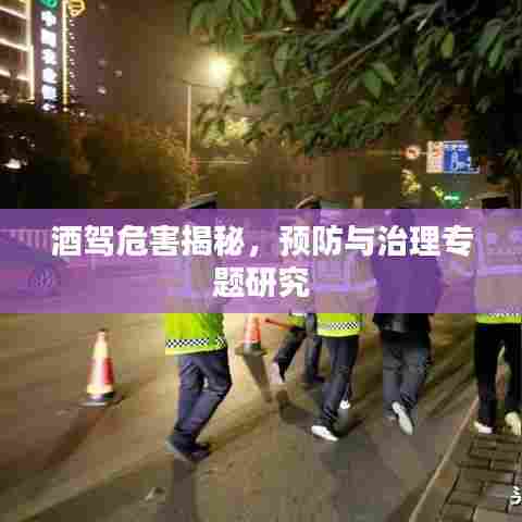 酒驾危害揭秘,预防与治理专题研究