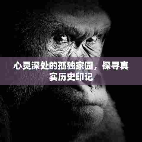 心灵深处的孤独家园，探寻真实历史印记