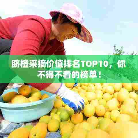脐橙采摘价值排名TOP10,你不得不看的榜单!