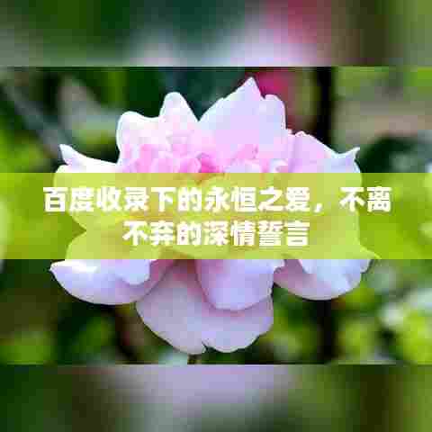 百度收录下的永恒之爱，不离不弃的深情誓言