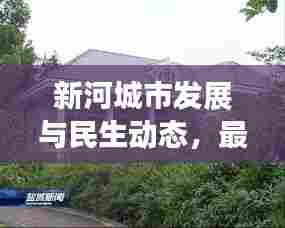 新河城市发展与民生动态，最新头条新闻速递