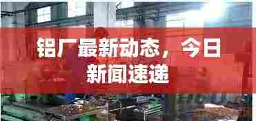 铝厂最新动态，今日新闻速递