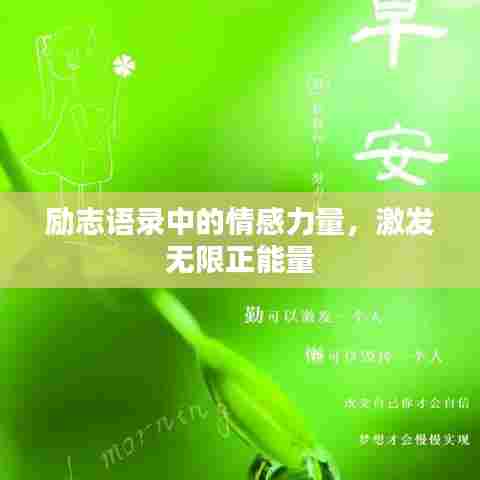 独学寡闻 第6页