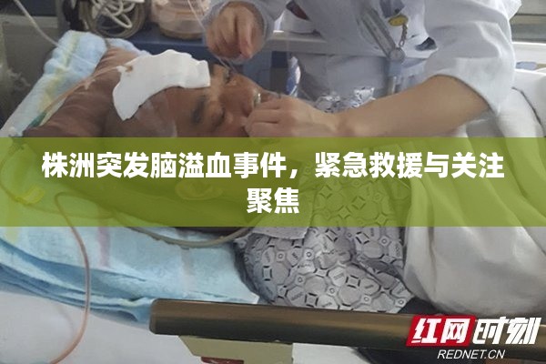株洲突发脑溢血事件，紧急救援与关注聚焦
