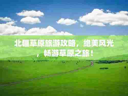北疆草原旅游攻略，绝美风光，畅游草原之旅！