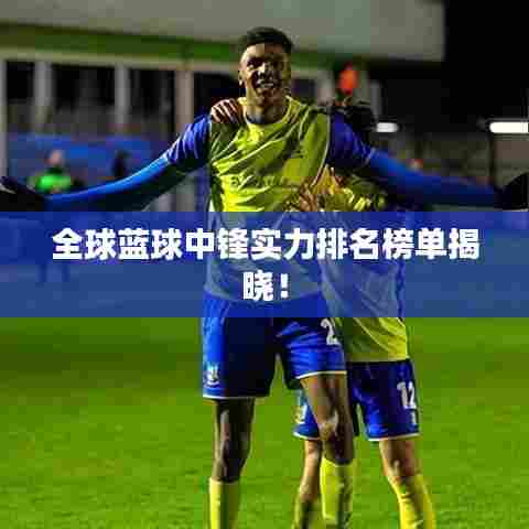 全球蓝球中锋实力排名榜单揭晓！