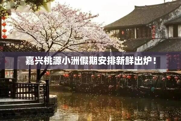 嘉兴桃源小洲假期安排新鲜出炉!