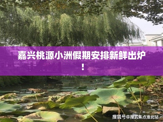 嘉兴桃源小洲假期安排新鲜出炉!