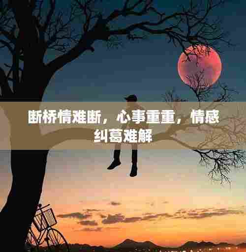 断桥情难断,心事重重,情感纠葛难解