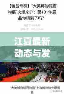 江夏最新动态与发展瞩目聚焦，头条新闻速览！