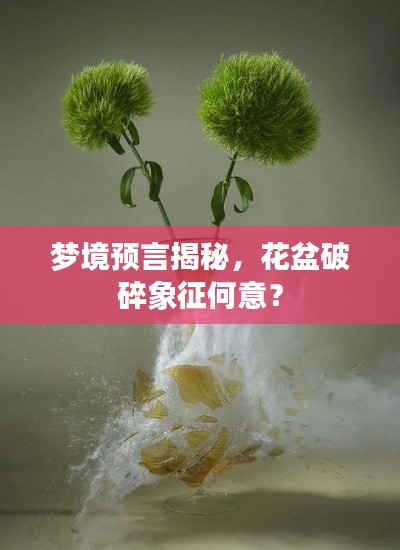 梦境预言揭秘，花盆破碎象征何意？