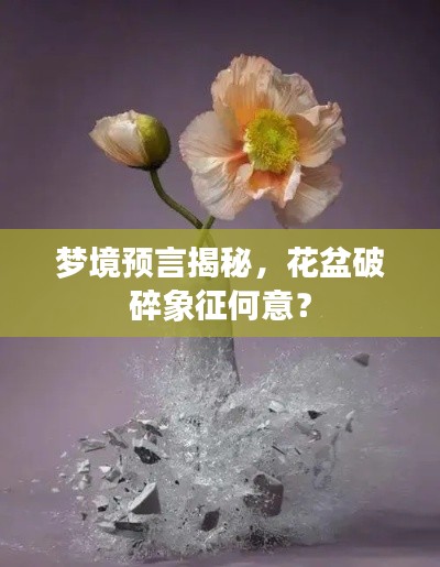 梦境预言揭秘,花盆破碎象征何意?