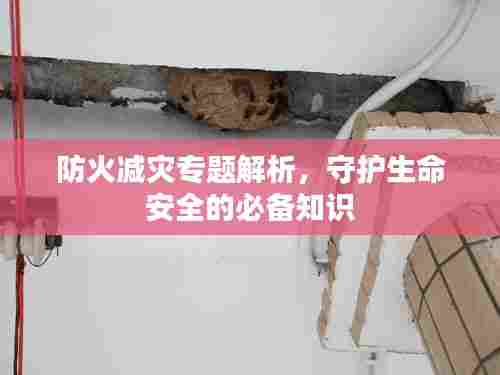 荡然无存 第5页