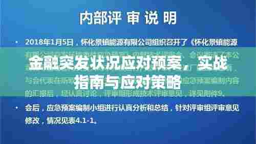 金融突发状况应对预案，实战指南与应对策略