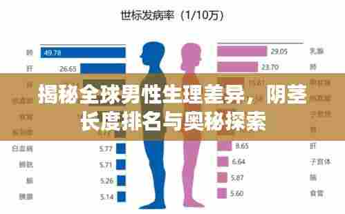 揭秘全球男性生理差异,阴茎长度排名与奥秘探索