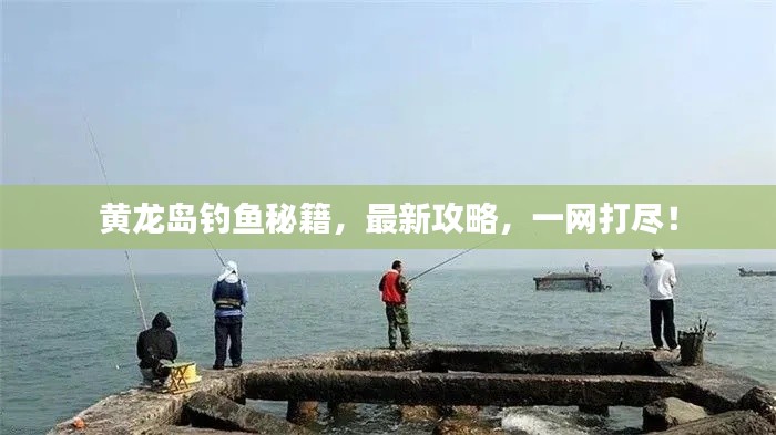 黄龙岛钓鱼秘籍，最新攻略，一网打尽！